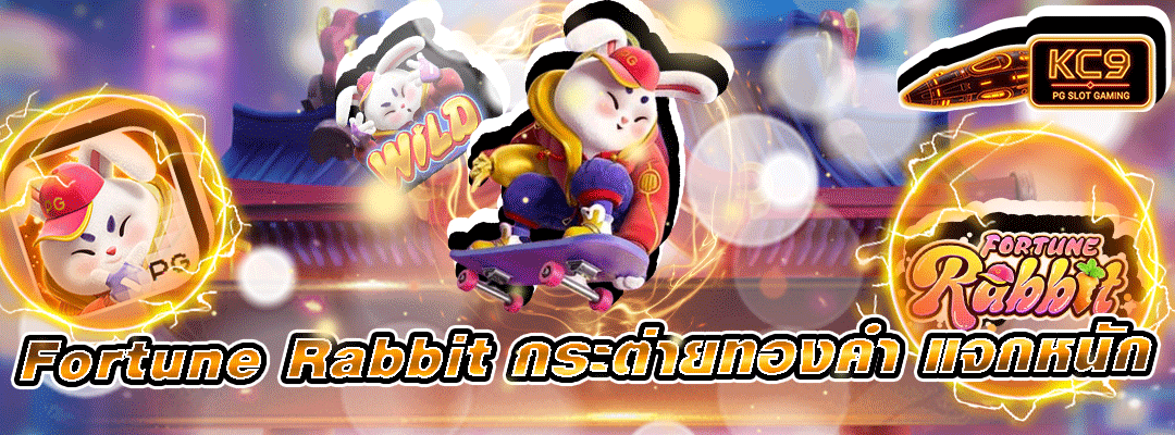 Fortune Rabbit