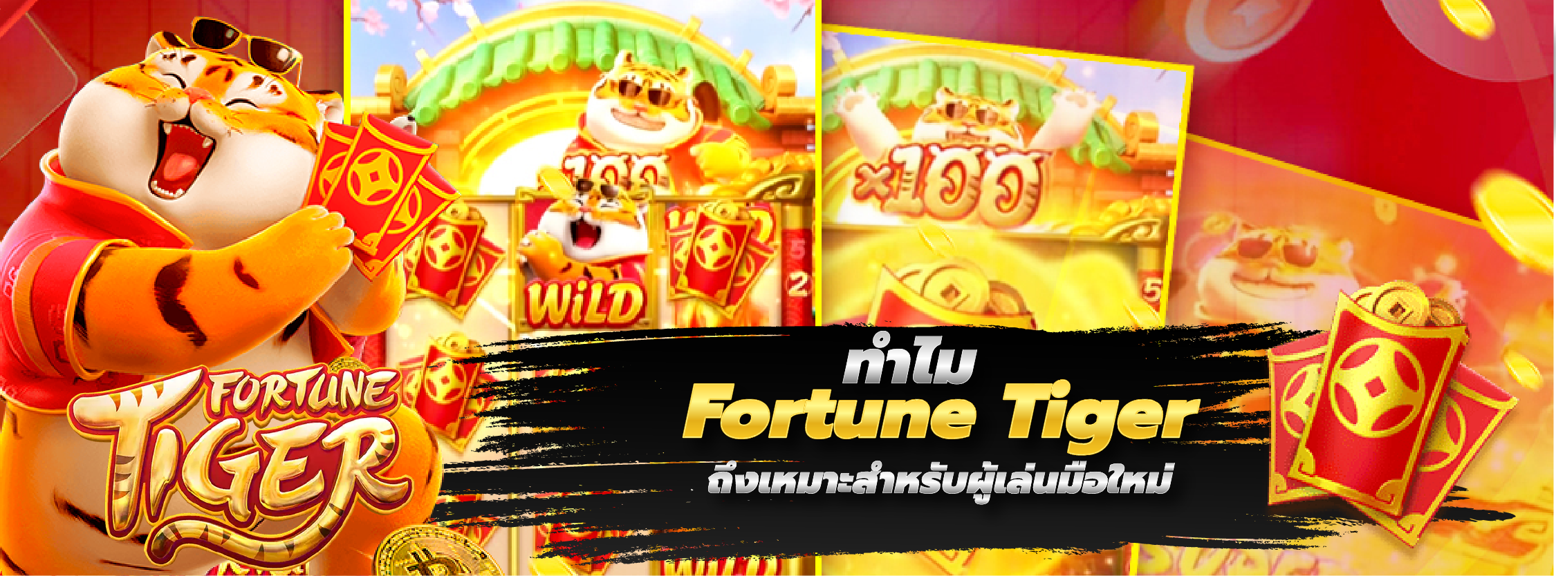 สล็อตpg forture tiger