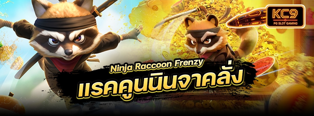 Ninja Raccoon Frenzy