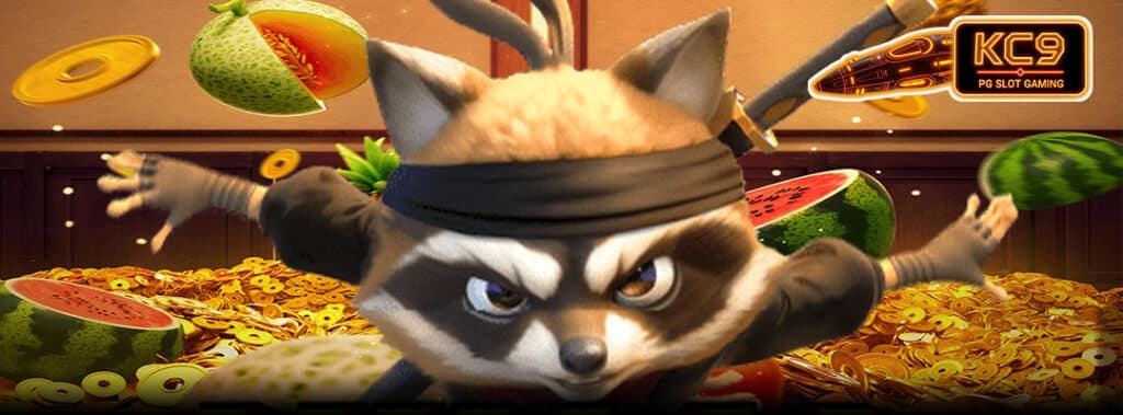 Ninja Raccoon Frenzy